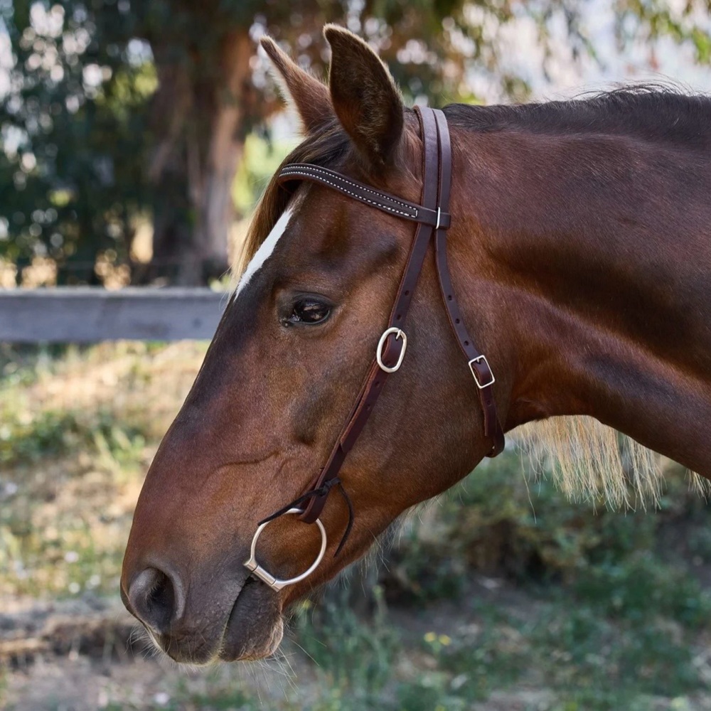 Berlin oiled leather brownband headstall